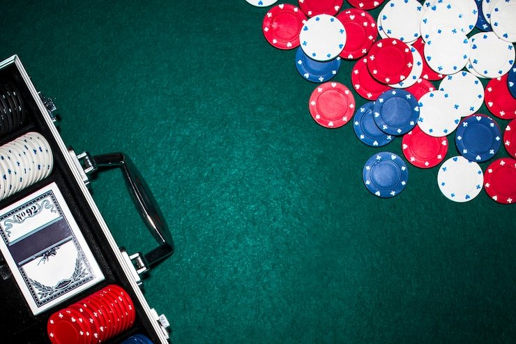 Tampilan riwayat transaksi deposit dan penarikan pada akun pitontoto yang transparan